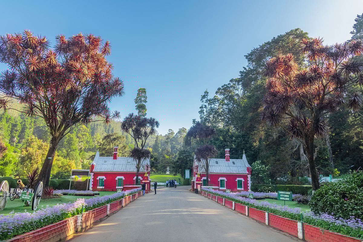 This garden in Ooty boasts around 600 species of plants